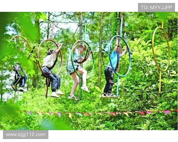 四季娱乐平台官方:畅享四季变换带来的无限乐趣 四季娱乐平台官方:畅享四季变换带来的无限乐趣